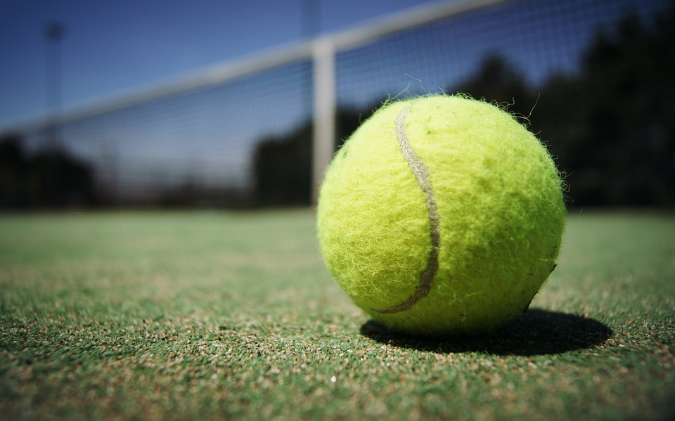 tennis-ball-984611_960_720